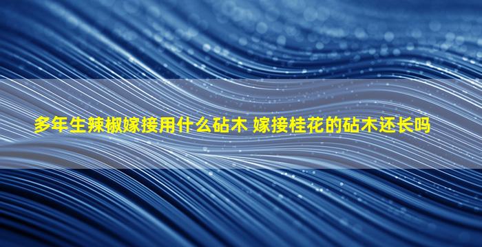 多年生辣椒嫁接用什么砧木 嫁接桂花的砧木还长吗